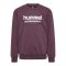 Hummel Sweatshirt Kids Braun F8156 - braun