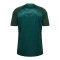 hummel SV Werder Bremen Pre Game Trikot 2026/2027 Grün F6228 - gruen