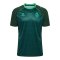 hummel SV Werder Bremen Pre Game Trikot 2026/2027 Grün F6228 - gruen