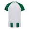 hummel SV Werder Bremen Trikot Home 2026/2027 Kids Grün F6839 - gruen
