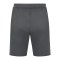 JAKO Allround Trainingsshort Damen Grau F820 - grau