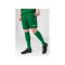 JAKO Allround Short Kids Grün F200 - gruen