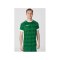 JAKO Celtic Melange KA Trikot Kids Grün F200 - gruen