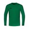 JAKO Challenge Sweatshirt Kids Grün Schwarz F201 - gruen