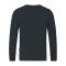JAKO Doubletex Sweatshirt Grau F830 - grau