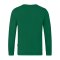 JAKO Doubletex Sweatshirt Grün F260 - gruen