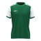JAKO Dynamic KA Trikot Kids Grün F205 - gruen