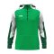 JAKO Dynamic Kapuzenjacke Kids Grün F204 - gruen
