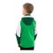 JAKO Dynamic Kapuzenjacke Kids Grün F204 - gruen
