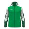 JAKO Dynamic Kapuzenjacke Kids Grün F204 - gruen