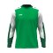 JAKO Dynamic Sweatshirt Kids Grün F204 - gruen