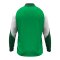 JAKO Dynamic Ziptop Sweatshirt Grün F204 - gruen