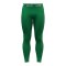 JAKO Function Long Underwear Tight Grün F632 - gruen