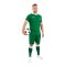 JAKO Glory KA Trikot Grün F206 - gruen