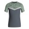 JAKO Iconic T-Shirt Grau Grün F852 - grau