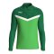 JAKO Iconic HalfZip Sweatshirt Kids Grün F222 - gruen
