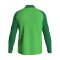 JAKO Iconic Polyester Jacke Grün F222 - gruen