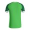 JAKO Iconic Trikot Grün F222 - gruen