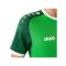 JAKO Iconic Trikot Grün F222 - gruen