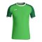 JAKO Iconic Trikot Grün F222 - gruen