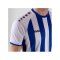 JAKO Inter Trikot Kids Weiss Blau F012 - weiss
