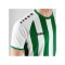 JAKO Inter Trikot Kids Weiss Grün F013 - weiss