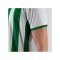 JAKO Inter Trikot Kids Weiss Grün F013 - weiss