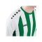 JAKO Inter Trikot langarm Weiss Grün F013 - weiss