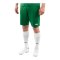 JAKO Manchester 2.0 Short Kids Grün F207 - gruen