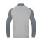 JAKO Performance Polyesterjacke Grau F845 - grau
