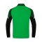 JAKO Performance Polyesterjacke Kids Grün F221 - gruen