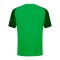 JAKO Performance T-Shirt Grün Schwarz F221 - gruen
