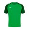 JAKO Performance T-Shirt Grün Schwarz F221 - gruen