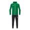 JAKO Power Präsentationsanzug Grün F200 - gruen