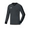 JAKO Striker Torwarttrikot Kids Grau F21 - grau