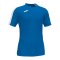 Joma Academy III T-Shirt Blau F702 - blau