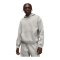 Jordan Brooklyn Oversized Hoody Grau F050 - grau