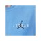 Jordan Brooklyn T-Shirt Blau F412 - blau