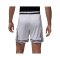 Jordan Sport Mesh Diamond Short Weiß F100 - weiss