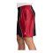 Jordan Sport Y2K Short Schwarz F013 - schwarz
