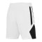 Jordan TM25 Basketball Stock Short Damen Weiß F100 - weiss