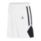 Jordan TM25 Basketball Stock Short Weiß F100 - weiss
