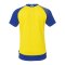 Kempa Ambition 28 Trikot Damen Gelb F91 - gelb