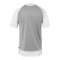 Kempa Ambition 28 Trikot Grau F31 - grau