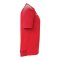Kempa Ambition 28 Trikot Rot F60 - rot