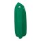 Kempa Athletics 29 Sweatshirt Kids Grün F47 - gruen