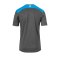 Kempa Emotion 2.0 Trikot Grau F08 - grau