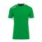 Kempa Player Trikot Grün Weiss F07 - gruen