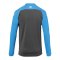 Kempa Prime Shirt langarm Grau Blau F02 - grau