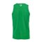 Kempa Reversible Tank Top Kids Grün Weiss F07 - gruen